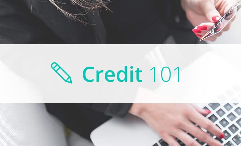 What are the Best Credit Cards to Apply For if You Have No Credit?