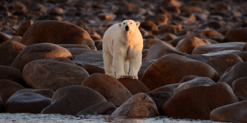 20 Fun and Interesting Facts About Manitoba: Over 100,000 Lakes