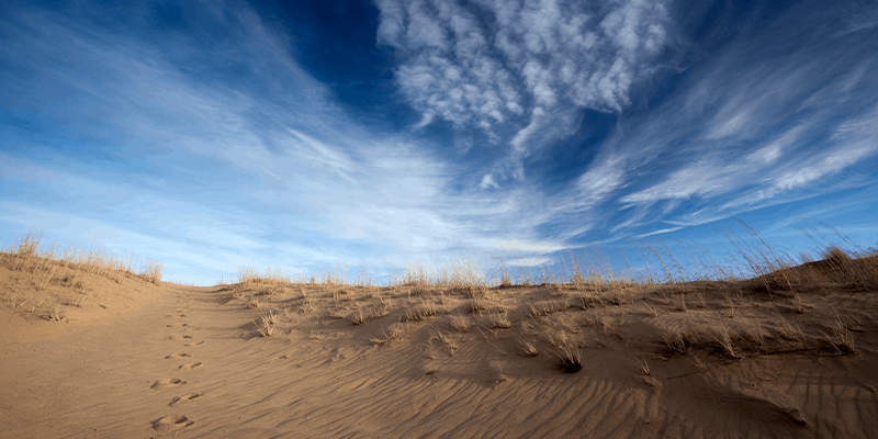 Spirit Sands Provincial park is about 1.5 hrs drive west of Winnipeg.